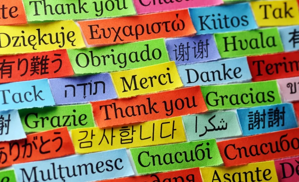 Hungarian online language lessions